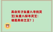 真命天子朱重八寻找灵芝(朱重八探寻灵芝：谁是真命之王？)