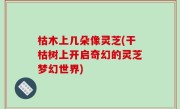 枯木上几朵像灵芝(干枯树上开启奇幻的灵芝梦幻世界)