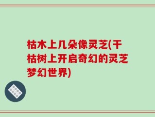 枯木上几朵像灵芝(干枯树上开启奇幻的灵芝梦幻世界)