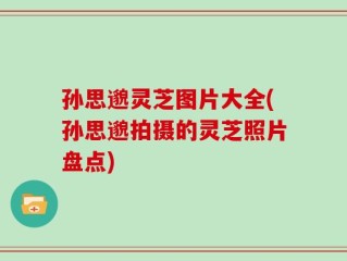 孙思邈灵芝图片大全(孙思邈拍摄的灵芝照片盘点)