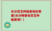 长沙灵芝种植基地在哪里(长沙哪里有灵芝种植基地？)