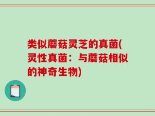 类似蘑菇灵芝的真菌(灵性真菌：与蘑菇相似的神奇生物)