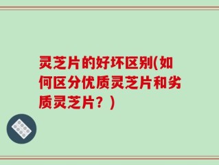 灵芝片的好坏区别(如何区分优质灵芝片和劣质灵芝片？)