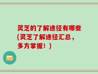 灵芝的了解途径有哪些(灵芝了解途径汇总，多方掌握！)