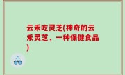 云禾吃灵芝(神奇的云禾灵芝，一种保健食品)
