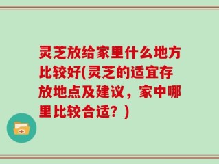 灵芝放给家里什么地方比较好(灵芝的适宜存放地点及建议，家中哪里比较合适？)