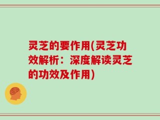 灵芝的要作用(灵芝功效解析：深度解读灵芝的功效及作用)