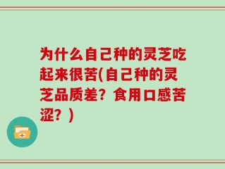 为什么自己种的灵芝吃起来很苦(自己种的灵芝品质差？食用口感苦涩？)
