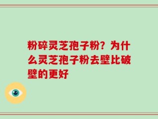 粉碎灵芝孢子粉？为什么灵芝孢子粉去壁比破壁的更好