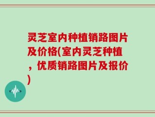 灵芝室内种植销路图片及价格(室内灵芝种植，优质销路图片及报价)