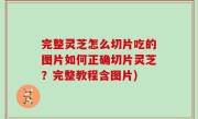 完整灵芝怎么切片吃的图片如何正确切片灵芝？完整教程含图片)