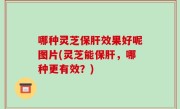哪种灵芝保肝效果好呢图片(灵芝能保肝，哪种更有效？)