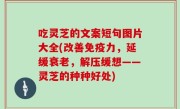 吃灵芝的文案短句图片大全(改善免疫力，延缓衰老，解压缓想——灵芝的种种好处)