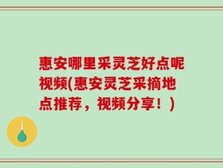 惠安哪里采灵芝好点呢视频(惠安灵芝采摘地点推荐，视频分享！)
