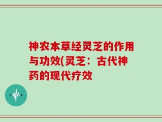 神农本草经灵芝的作用与功效(灵芝：古代神药的现代疗效