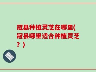 冠县种植灵芝在哪里(冠县哪里适合种植灵芝？)