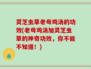 灵芝虫草老母鸡汤的功效(老母鸡汤加灵芝虫草的神奇功效，你不能不知道！)