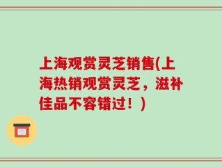 上海观赏灵芝销售(上海热销观赏灵芝，滋补佳品不容错过！)