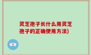 灵芝孢子长什么用灵芝孢子的正确使用方法)