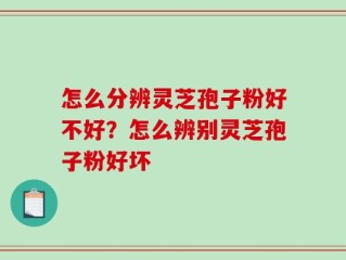 怎么分辨灵芝孢子粉好不好？怎么辨别灵芝孢子粉好坏