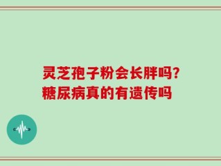 灵芝孢子粉会长胖吗？糖尿病真的有遗传吗