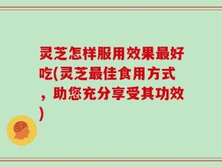 灵芝怎样服用效果最好吃(灵芝最佳食用方式，助您充分享受其功效)