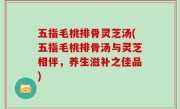 五指毛桃排骨灵芝汤(五指毛桃排骨汤与灵芝相伴，养生滋补之佳品)