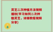 灵芝二次种植方法视频播放(学习如何二次种植灵芝，详细教程视频分享)