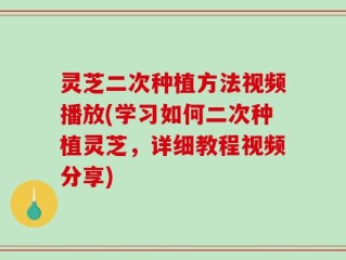 灵芝二次种植方法视频播放(学习如何二次种植灵芝，详细教程视频分享)
