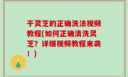 干灵芝的正确洗法视频教程(如何正确清洗灵芝？详细视频教程来袭！)