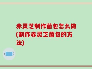 赤灵芝制作菌包怎么做(制作赤灵芝菌包的方法)