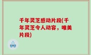 千年灵芝感动片段(千年灵芝令人动容，唯美片段)