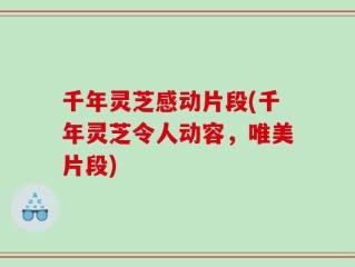 千年灵芝感动片段(千年灵芝令人动容，唯美片段)