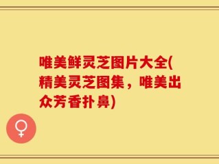 唯美鲜灵芝图片大全(精美灵芝图集，唯美出众芳香扑鼻)