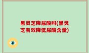 黑灵芝降尿酸吗(黑灵芝有效降低尿酸含量)
