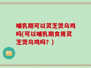 哺乳期可以灵芝煲乌鸡吗(可以哺乳期食用灵芝煲乌鸡吗？)