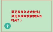 灵芝长多久才大枝头(灵芝长成大枝需要多长时间？)