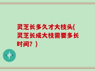 灵芝长多久才大枝头(灵芝长成大枝需要多长时间？)