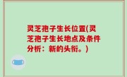 灵芝孢子生长位置(灵芝孢子生长地点及条件分析：新的头衔。)