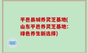 平邑县城养灵芝基地(山东平邑养灵芝基地：绿色养生新选择)