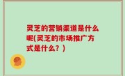 灵芝的营销渠道是什么呢(灵芝的市场推广方式是什么？)