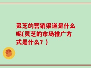 灵芝的营销渠道是什么呢(灵芝的市场推广方式是什么？)