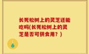 长死松树上的灵芝还能吃吗(长死松树上的灵芝是否可供食用？)