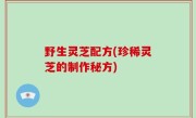 野生灵芝配方(珍稀灵芝的制作秘方)