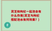 灵芝和枸杞一起泡会有什么作用(灵芝与枸杞搭配泡水有何效果？)