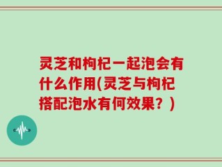 灵芝和枸杞一起泡会有什么作用(灵芝与枸杞搭配泡水有何效果？)