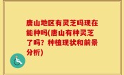 唐山地区有灵芝吗现在能种吗(唐山有种灵芝了吗？种植现状和前景分析)