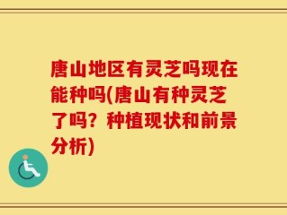 唐山地区有灵芝吗现在能种吗(唐山有种灵芝了吗？种植现状和前景分析)