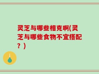 灵芝与哪些相克啊(灵芝与哪些食物不宜搭配？)