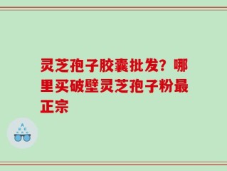 灵芝孢子胶囊批发？哪里买破壁灵芝孢子粉最正宗
